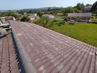 Traitement fongicide et hydrofuge coloré sur tuile béton